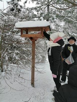 Srnkám sypou kaštany a žaludy. I letos děti ptáčkům vyrobily krmítko ze skořápek ořechů. To umístily na okenní parapet.