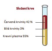 2 Transfuzní přípravky a jejich zpracování 2.1 Krev Krev má kapalné vlastnosti a neustále v lidském těle cirkuluje. Tvoří 8% tělesné hmotnosti a lidský organismus obsahuje 4-6 litrů krve.