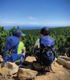 Řešíme ihned tel.: 777 038 001, www.gato.cz CELOROČNÍ DOVOLENÁ V KRKONOŠÍCH Rokytnice nad Jizerou / Baby Friendly / turistika / cyklovýlety / lyžování / houbaření / romantika.