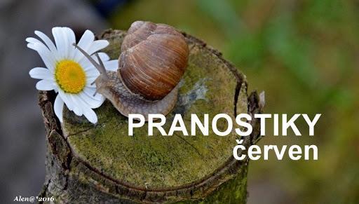 PRANOSTIKY Pranostiky na červen Chladný květen, červen vlažný - je pro sýpky, sudy blažný. Netřeba v červnu o déšť prositi, přijde, jak začne kositi. Červen studený - sedlák krčí rameny.