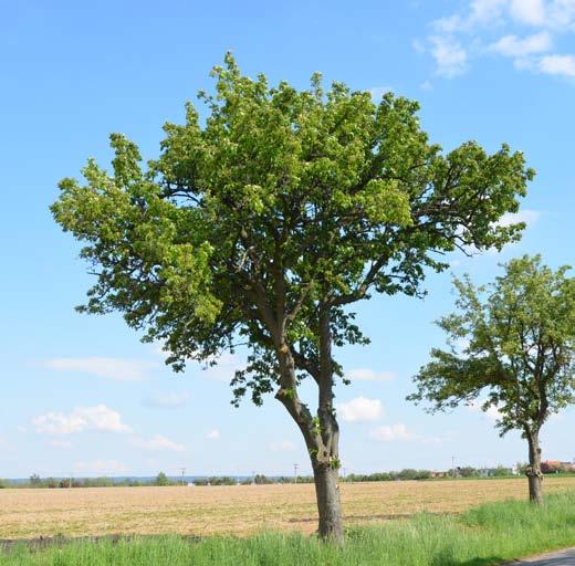 S nadsázkou lze tedy říci, že loňský ročník vidělo více lidí než předchozích třináct ročníků dohromady.