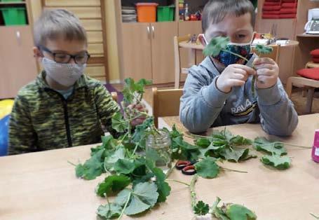 Svět dinosaurů V naší družině jsme uspořádali výstavku oblíbených ještěrů. Vašík D.