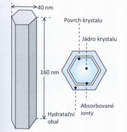 neuspořádané krystaly. Povrch korunky pokrývá vrstva aprizmatické skloviny dosahující 20 až 30 µm. Obr. 4 - Průřez sklovinným prizmatem Převzato z: MINČÍK, J.: Kariologie. Praha: StomaTeam, 2014, s.