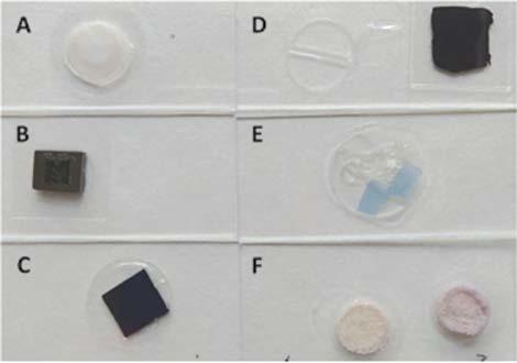 Světové prvenství V rámci práce s nanomateriály jakožto povrchy pro inkubaci buněk tato skupina jako první na světě úspěšně kultivovala lidské buňky na velkoplošném grafenu (několik mm 2 ).