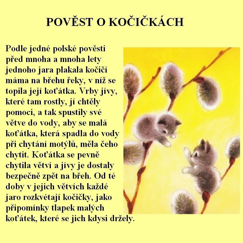 Květná neděle 28.3. 2021 - Velikonoce jsou svátky křesťanské (vysvětlení podle víry a uvážení rodičů) a také svátky jara. Probouzí se příroda, začínají kvést květiny, roste tráva, rodí se zvířátka.