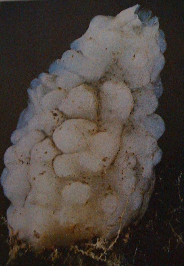 2.