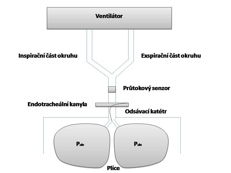 Experimentální sestava Experimentální sestavu je třeba sestavit dle Obrázku 6: Obrázek 6: Experimentální sestava je připojená k plicnímu ventilátoru.