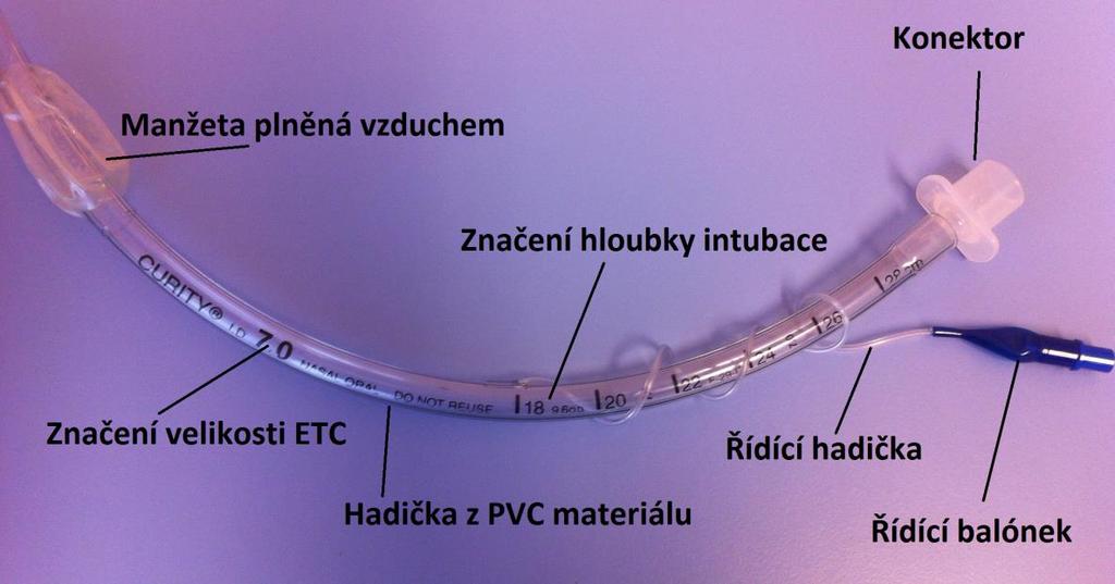 Měření Spuštění ventilace Vyčkat do ustálení hodnot Zavést katétr vytvořit obstrukci v DC Simulace odsávání Vytáhnout katétr 5 10 s Ustálení parametrů Pojmenování souboru s daty 5.