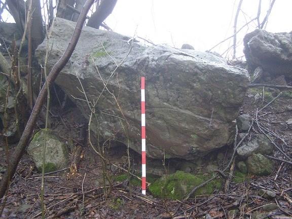 obhospodařovaných pozemků. V některých partiích jsou součástí valů i kameny dosahující rozměru několika metrů (obr. 16). Obr. 16. Rozměrný kámen v tělese agrárního valu.