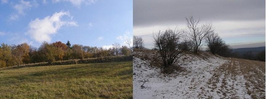Obr. 18. Hlinité stěny agrárních teras. Malý Roudný (Durďák 2013-2014).
