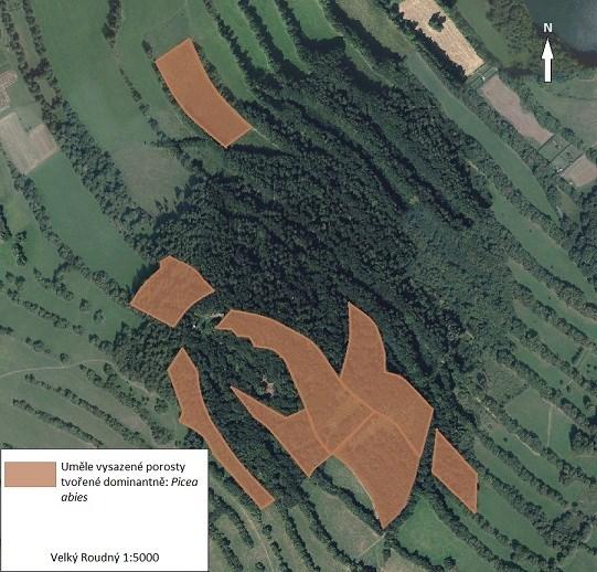 Obr. 23. Vyznačení ploch s nevhodnou druhovou výsadbou. Velký Roudný Většina lesních porostů je však tvořena dřevinami spontánně osidlujícími někdejší zemědělské plochy.