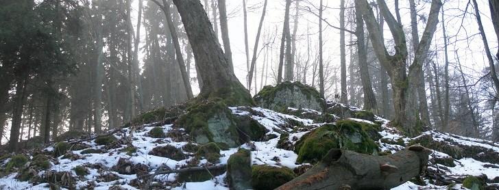 Tyto jsou na spodní linii lemovány fragmenty staré cesty, jenž je v mapě vykreslena červenou linií.