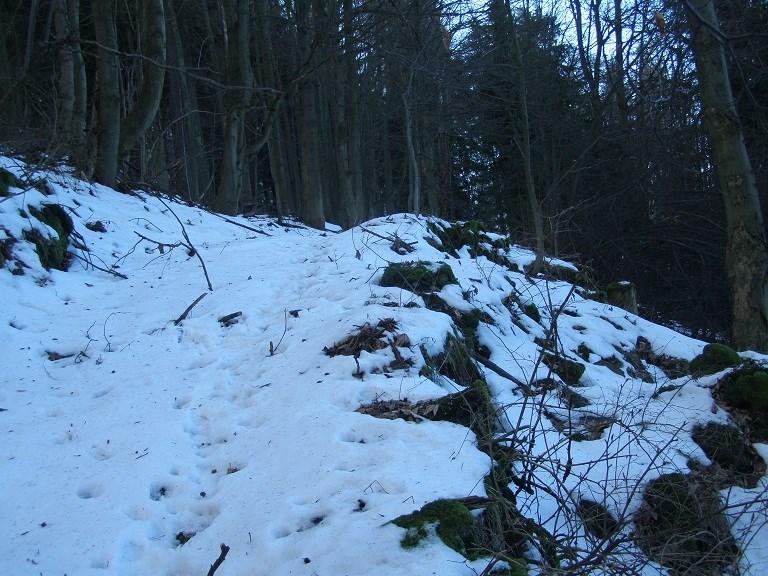 je již terén toliko členitý a strmý, že by samotné obdělávání nebylo možné.