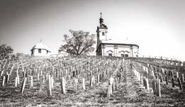 Vedle velkých hráčů na vinném trhu, jako jsou Zámecké vinařství Bzenec nebo Château Bzenec, se odborné porotě líbila dokonce tři vína z Vinařství Štěpánek z Mutěnic.