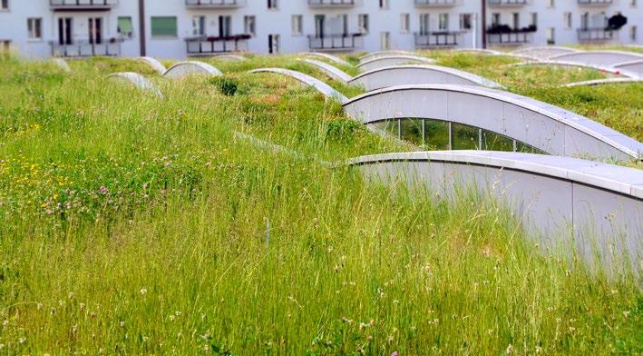ENVILOPE ATELIER Efekt zeleně na střechách Zadržuje dešťovou vodu Mezi deklarovanými parametry každé z vegetačních skladeb Envilope uvádíme její retenční schopnost (procentuální vyjádření množství