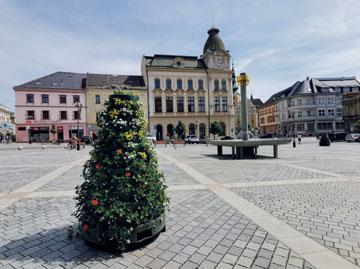 com/televizeprerov Květinové pyramidy rozzářily Masarykovo náměstí Foto: Jan Gebauer Od poloviny června zkrášlují přerovské Masarykovo náměstí bohaté květinové pyramidy.