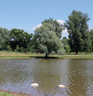 Do její kompetence spadaly odbory majetku a životního prostředí. Ochrana přírody je pro mne alfou a omegou.