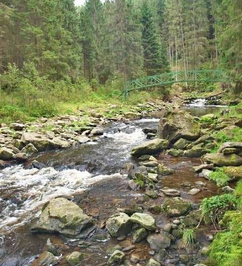 A když je řeč o zřícenině hradu Hus, proč si neudělat trochu delší pěší výlet, který pojme obě tyto místní zajímavosti?
