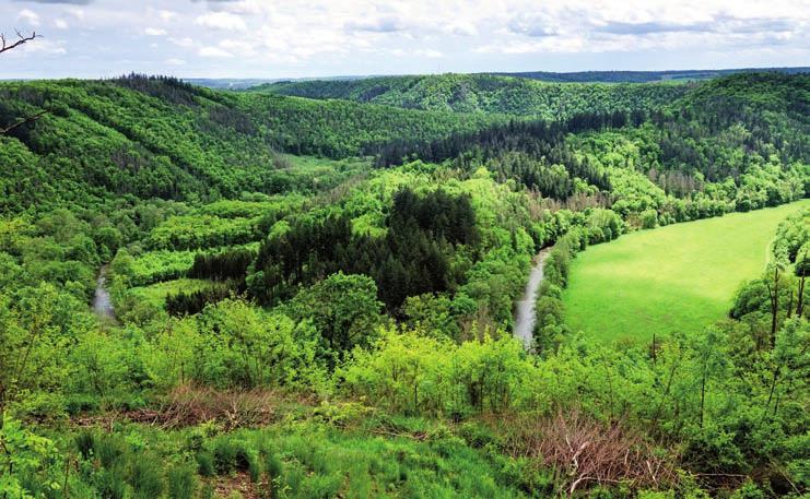 16 Život ve městě MĚSTO ŽIDLOCHOVICE ZPRAVODAJ Kaňonem řeky Chvojnice Ing.