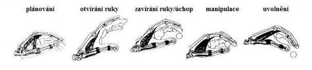 ÚCHOP základní