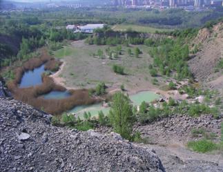 37. Skalka 0,20 ha Na geologickém podkladě granodioritů brněnského masivu se nachází zbytky teplomilné vegetace (koniklec velkokvětý, prvosenka jarní, hvězdnice zlatovlásek, třešeň křovitá). 36.