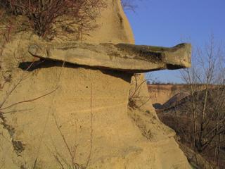 0,50 ha Čtvrtohorní sedimenty tuřanské terasy a třetihorní brněnské písky.