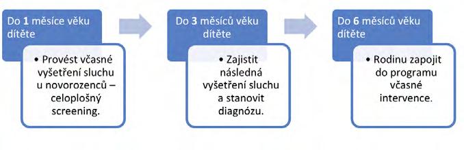 LISTY KLINICKÉ LOGOPEDIE 2/2020 86 v lázních), nebo podezření pojali pedagogové v mateřské škole. Schéma č.