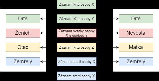 Posledním krokem výpočtu je vzniklý genealogický model zkontrolovat.