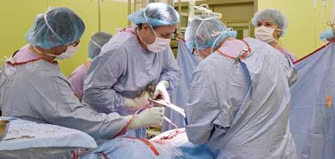 Celý systém je přizpůsobitelný různým typům operačních výkonů a zahrnuje jednoduché možnosti kombinace implantátů a operačních nástrojů.