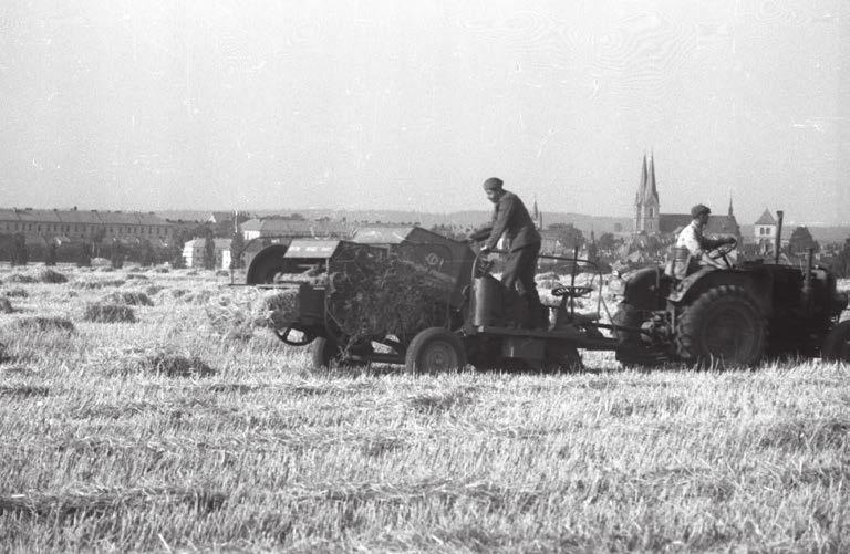 Obrázek 15 Obvyklou výpomocí při sezonních pracích byla armáda. Na fotografii pomáhá voják při balíkování. V pozadí lze rozeznat kostel svatého Vavřince ve Vysokém Mýtě.