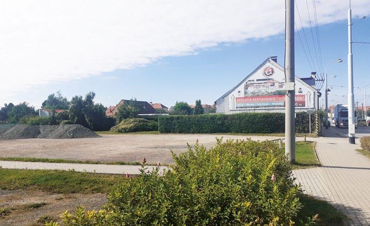Tuto dřevinu jsme vybrali společně se zahradním architektem Ing. Jakubem Kratochvílem, jehož firma ve spolupráci se Službami města realizaci provede.