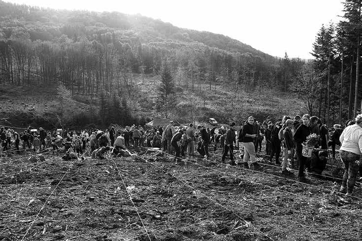 PŘÍRODA Přišli zalesnit Hostýnské vrchy Akci Pojďme zalesnit Hostýnské vrchy sdílely na sociálních sítích stovky lidí. Snad pět set dobrovolníků pak vyrazilo do hor, aby byli u vzniku nového lesa.
