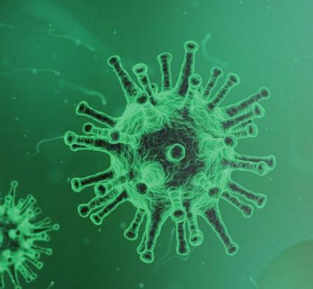 Koruna je symbolem moci a autority a tento virus má nad námi lidmi opravdu obrovskou moc.