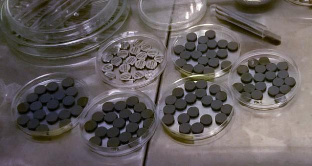 standardních kultivačních komůrek od firmy TPP Techno Plastic Products, Trasadingen, Švýcarsko; průměr komůrky 15,4 mm; značeno jako PS).