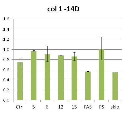 linie Saos-2 na vzorcích sady III. (Ctrl, 5, 6, 12, 15, FAS).