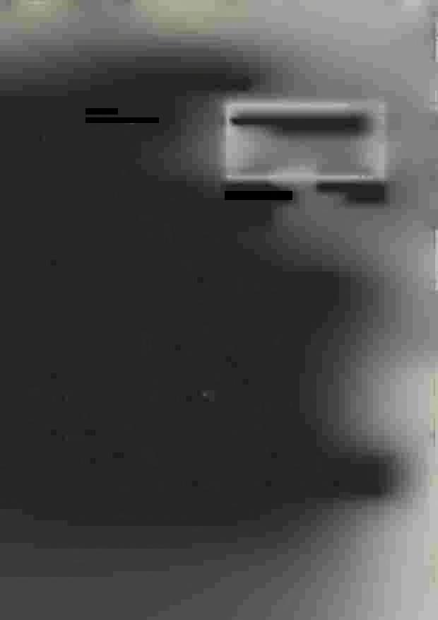 Královéhradecký kraj Telefon: 4 E-mail: e IČO: 708 89 546 DIČ: CZ70889546 Všem účastníkům zadávacího řízení Váš dopis zn. ze dne: Naše značka TOÚ/092-20/Ko Vyřizuje/linka Hradec Králové dne 21. 4. 2021 Oznámení rozhodnutí zadavatele o výběru dodavatele I.