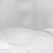 rezistence. Kyselina fusidová má významné postavení hlavně v dermatologii, protože má prokázanou klinickou účinnost nejen na stafylokoky, ale i na meticilin-rezistentní Stafylococus aureus (MRSA).