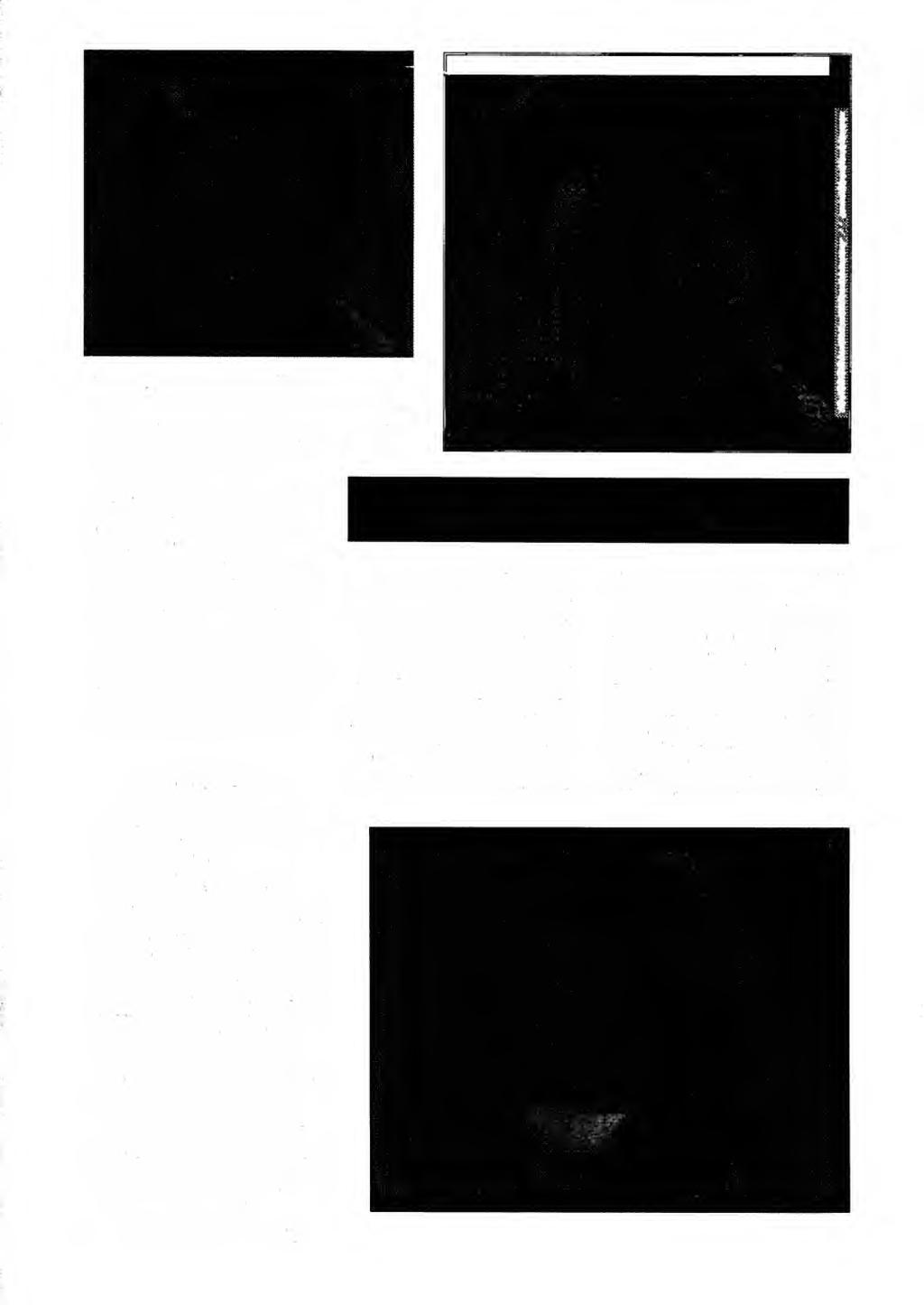 r i n.. rt, ^ I_ itj.li sekundu a okenku o velikosti 320x240 pixelu. Pocftac by mel byt 486DX (koprocesor se uplatnf, vsechno se pocfta) a s co nejvetsf pametf RAM (8 MB minimalne).