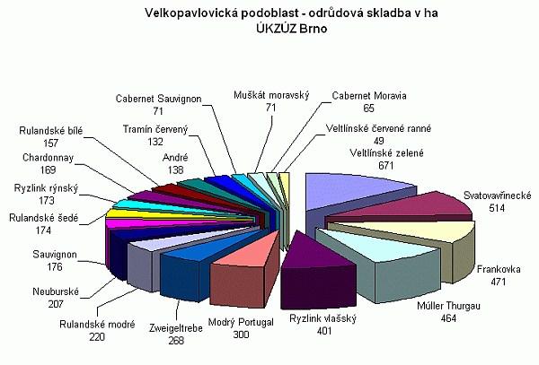 Réva vinná je na území České republiky z největší části (zhruba 96%) pěstována a produkována na jiţní Moravě. Avšak v Čechách lze nalézt také velmi dobrá a kvalitní vína.