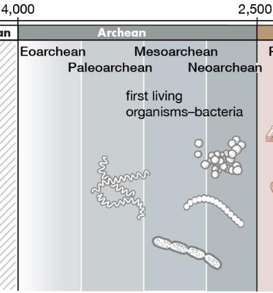 Vznik života 4,0-3,8 mld let vznik života Prahory (Archaikum, starší prekambrium) 3,5 mld