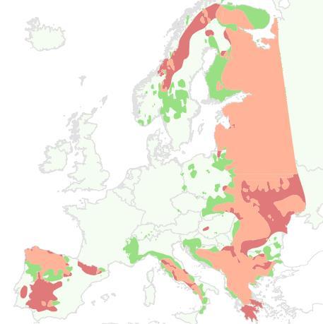 hojnosti kopytníků a jejich rozptyl Vysoce přizpůsobivý, nedávné rozšíření