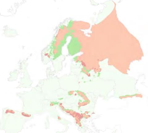 Stabilní nebo rostoucí populační trendy - zůstává ohrožen Ztráta stanovišť v