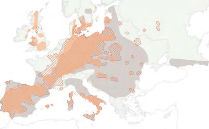 stanoviště Pozitivní trendy ve Švédsku, Švýcarsku a Velká Británii