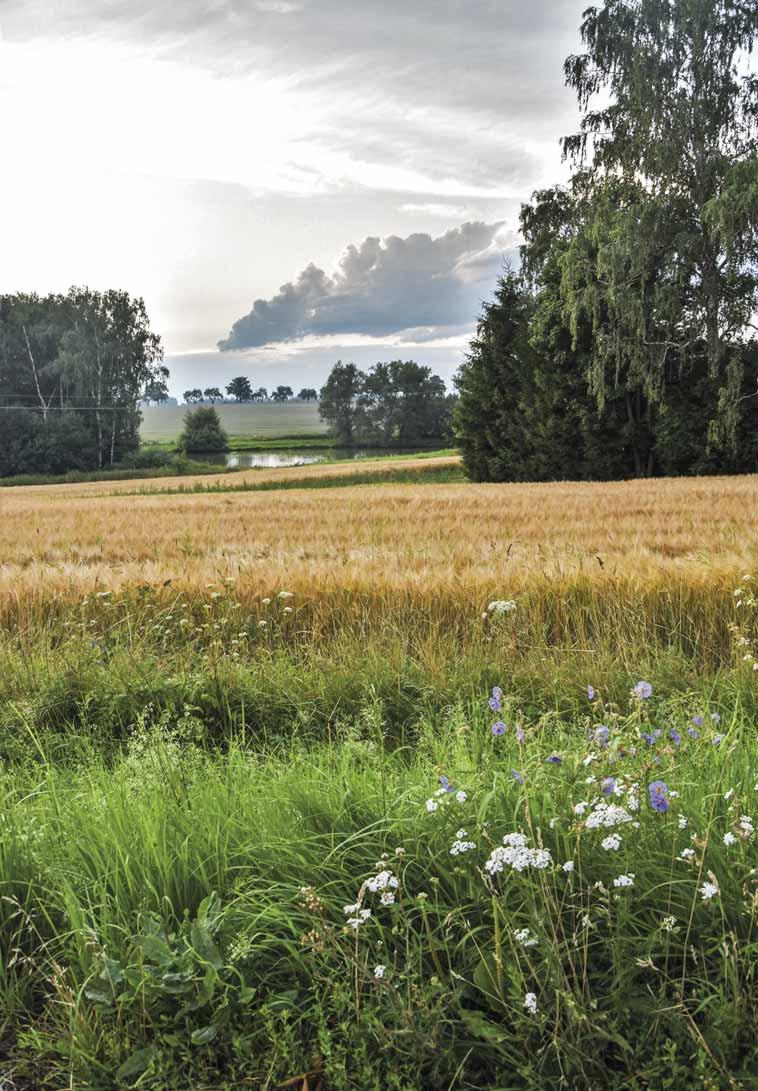 Přibyslavský O B Č A S N Í K ZÁŘÍ 2021 ROČNÍK XXXI