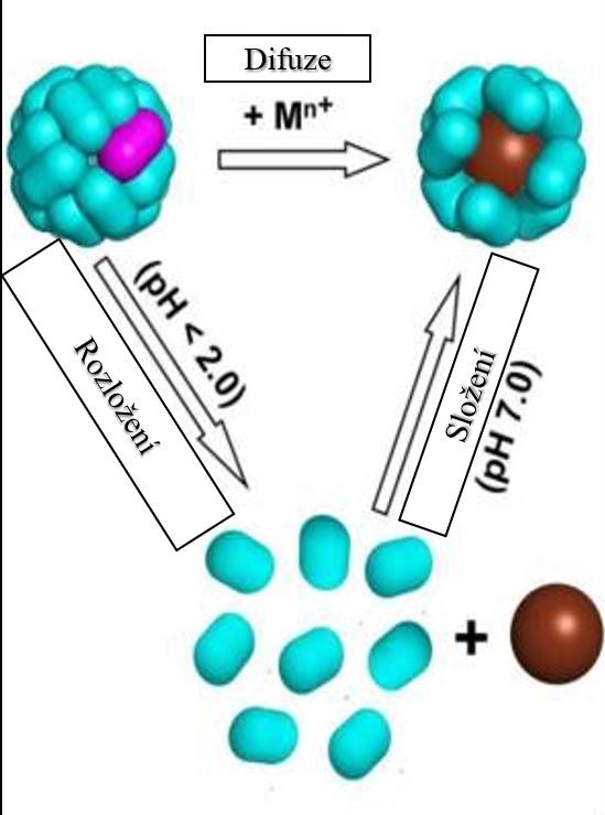 1.5. Nanomedicína Vývoj nových a vylepšených látek je založen na snaze eliminovat negativní účinky na tělo pacienta.