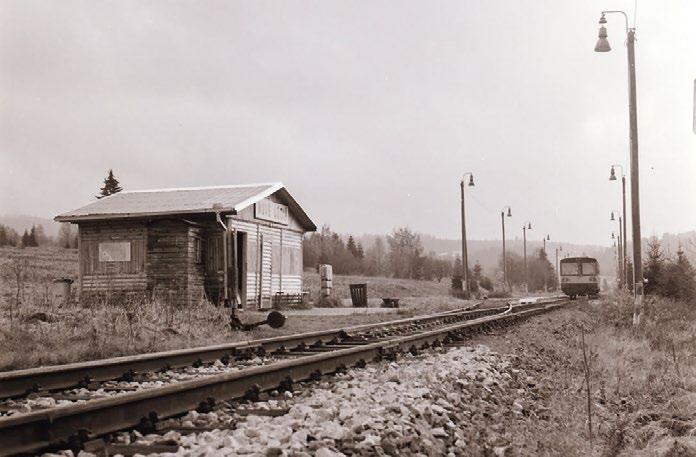 V říjnu 1992 ji vyfotil Mojmír Leštinský.
