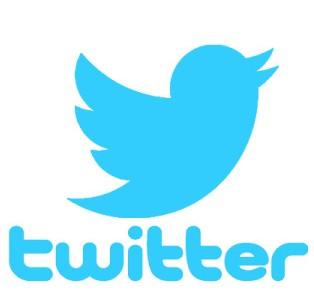Obrázek 4: Logo Twitter (Zdroj: http://www.business2community.