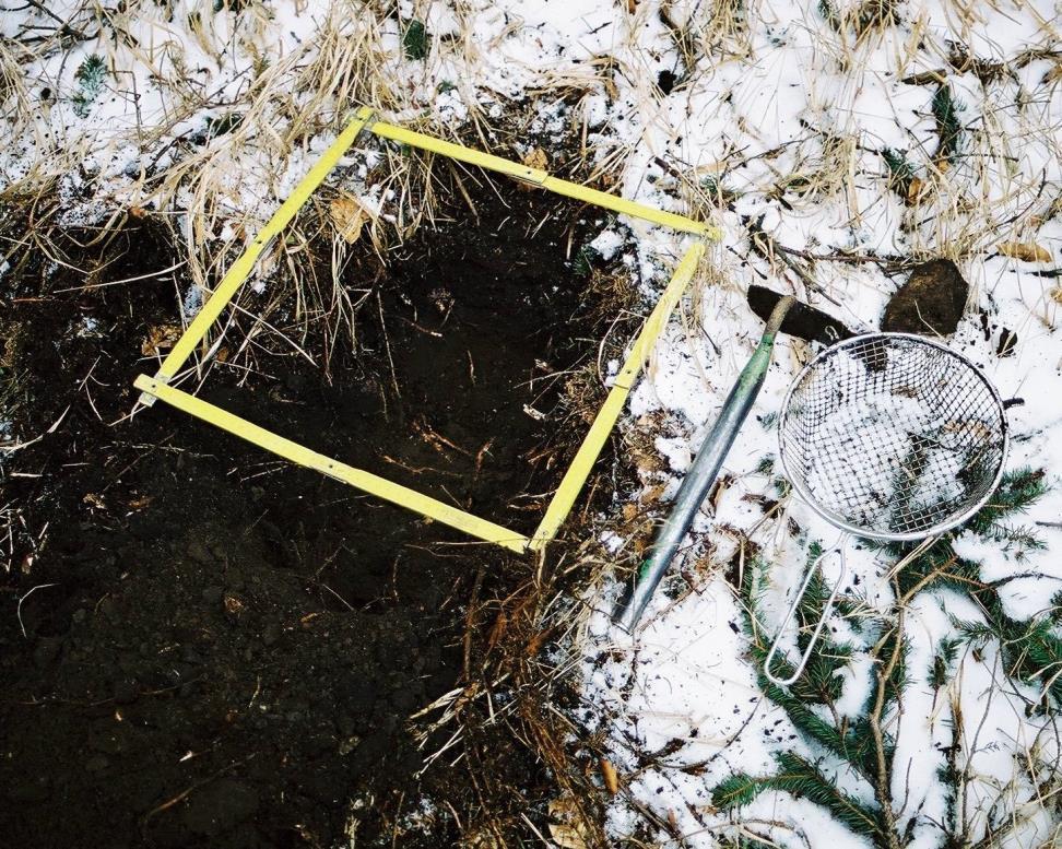 Mikrosondáže mikrovryp (mikrosonda) orientační vzorkování obsahu povrchové vrstvy mikrosondy stojí na hranici s nedestruktivními metodami a neměli by přesáhnout rozměry a hloubku 50 cm (Kuna a kol.