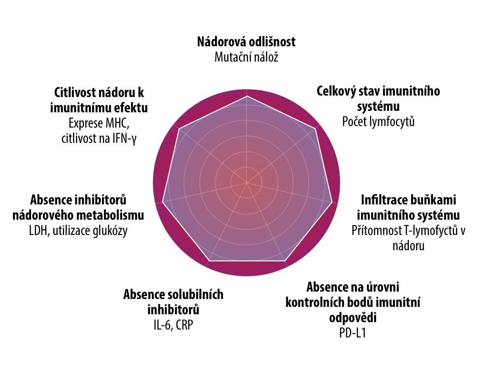 1.3. Hustota CD8+ tumor infiltrujících lymfocytů pacientů s adenokarcinomem rekta Imunoterapie s sebou přináší perspektivu dlouhodobé, možná i trvalé odpovědi a na rozdíl od jiných typů cílené léčby