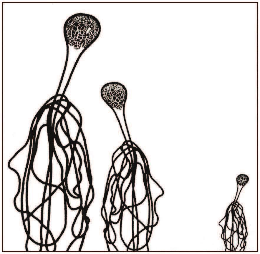 Teoretici (1988)